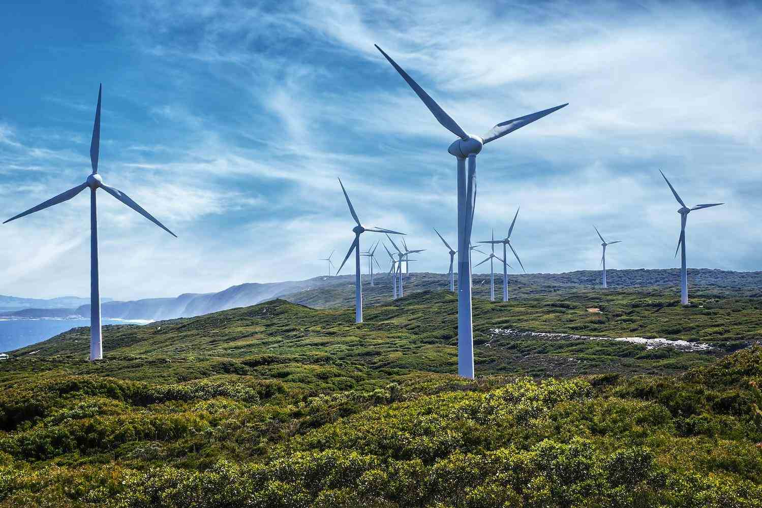 Barbados Collaborates with IFC to Develop Lamberts Wind Farm, Boosting Clean Energy Production