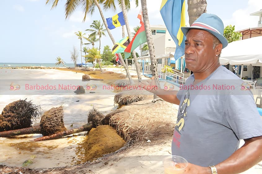 Safety Concerns Rise Over Eroding Worthing Beach Due to Fallen Coconut Trees