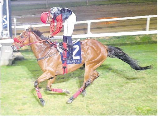 Renaisance Frolic Triumphs in Coolmore Home of Champions Stakes | Sir David Seales' Horse Leads Local Crop
